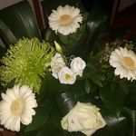Freddy loves flowers !!! - @freddysydney2014 - Instagram