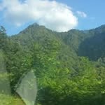 Freddy Freeman - @freeman.freddy - Instagram