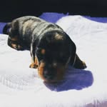 FREDDY FREEMAN - @big92freddy - Instagram