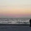 Freddy. Freeman - @freddyfreeman0 - TikTok