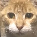 Freddy Fuller - @froder.55 - Instagram