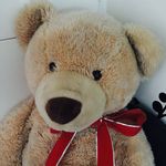 Freddy Fullerton 🐻 - @freddy_fullerton - Instagram