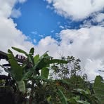 Freddy Gamboa - Facebook
