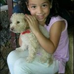 freddy gamboa - @gamboa.freddy - Instagram