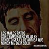 Luis Alfredo Gamb646 - @freddygamboa8 - TikTok