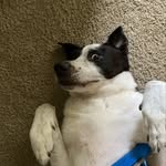 Fred Garrison - @fredadventures2020 - Instagram