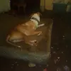 Fred Gates - @fred.gates7 - TikTok