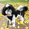 Freddy and George - @freddyandgeorgeshihtzu - TikTok