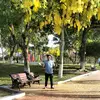 freddy german - @federico_freddy58 - TikTok