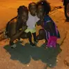 Freddy German - @freddy.german - TikTok