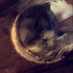 freddy.german - @freddy.german3799 - Instagram