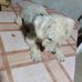 Freddy Giler - Facebook