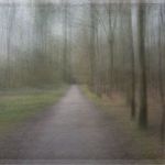 Freddy Grant - @memory.walks - Instagram