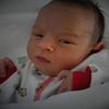 freddy gross - @freddy.gross0 - TikTok
