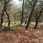 Freddy Guzman - @freddyguzman5204 - Instagram