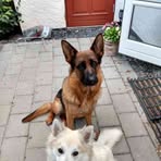 Freddy Hansen - Facebook