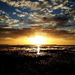 Freddie Harrison - @fredharrison - Instagram