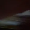 Freddie Harrison - @freddie.harrison0 - TikTok