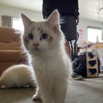 Freddy Harrison - @king_freddythegreat - Instagram
