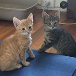 Freddy & Henry - @freddy_and_henry - Instagram