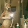 Freddy Herrera - @freddy.herrera58 - TikTok