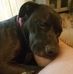 Fred Hicks - Facebook