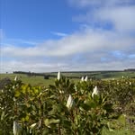 Freddy Hill Farm - @freddyhillfarm - Instagram