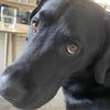 Freddie Holmes - @freddie.holmes - TikTok