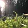 Co_7002 - @freddythehood - TikTok