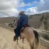 freddyhoward - @freddyhoward - TikTok