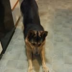 Fred Huff - @fred.huff.121 - Instagram