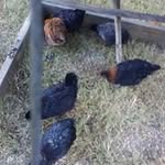 fred hurst - @hurst3532 - Instagram