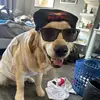 Freddy.Ingram - @fred.ingram - TikTok