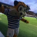 Freddy Joyce - @fredsterqpr - Instagram