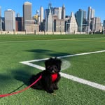 Freddie Kelley Tron - @fredkelletron - Instagram