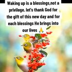 Freddy Kim - Facebook