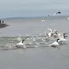 freddy klein - @freddy.klein594 - TikTok