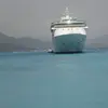 Fred Koch - @fred.koch - TikTok