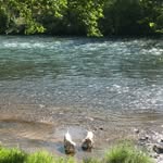 Freddy Kramer - @freddy.kramer.52 - Instagram
