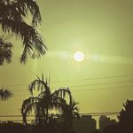 Freddy Lagos - @flagos6969 - Instagram