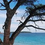 Fred Lange - @lange_fred - Instagram