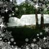 Freddy Lawrence - @freddy.lawrence7 - TikTok