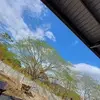 Freddy Lazo - @freddy.lazo77 - TikTok