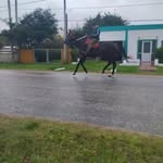 Freddy Lazo - @nestorrodruguez222 - Instagram