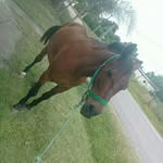 Nestor Fredy Lazo - @freddy_lazo_ysb - Instagram