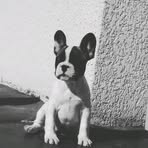 Freddy Le Bourdon - Facebook