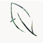 Freddy Leaf - @freddyleaf - Instagram