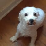 Freddie Lester - @lesterfreddie - Instagram