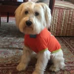 Freddy Lester - @freddylestercowie - Instagram
