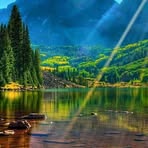 Freddy Levine - Facebook